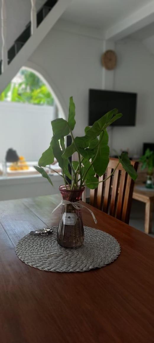 Villa Olivia スミニャック エクステリア 写真